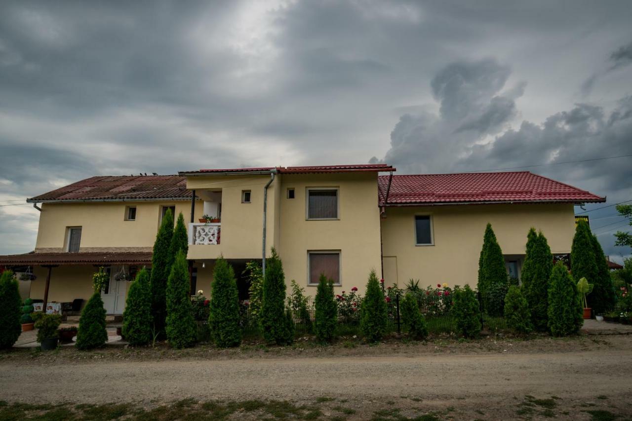 Pensiunea Elena Tasnad Dış mekan fotoğraf
